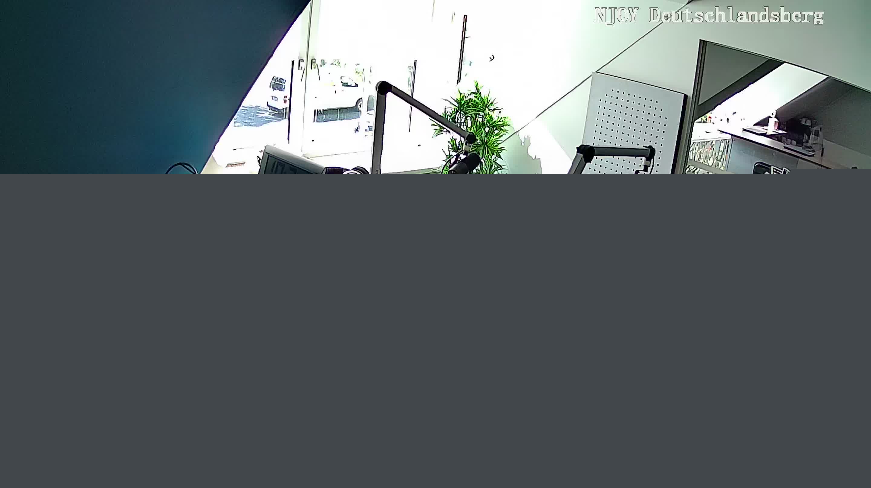 Netcam